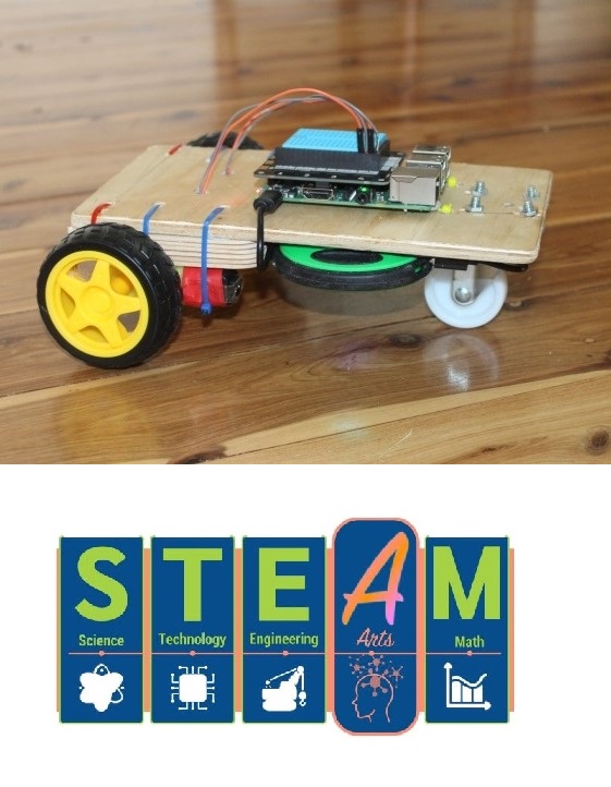 physical computing buggy